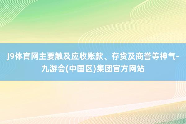 J9体育网主要触及应收账款、存货及商誉等神气-九游会(中国区)集团官方网站