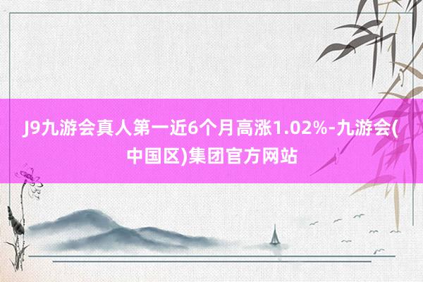 J9九游会真人第一近6个月高涨1.02%-九游会(中国区)集团官方网站