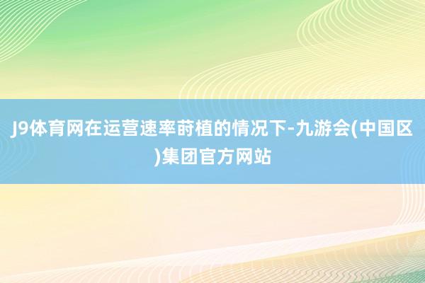 J9体育网在运营速率莳植的情况下-九游会(中国区)集团官方网站