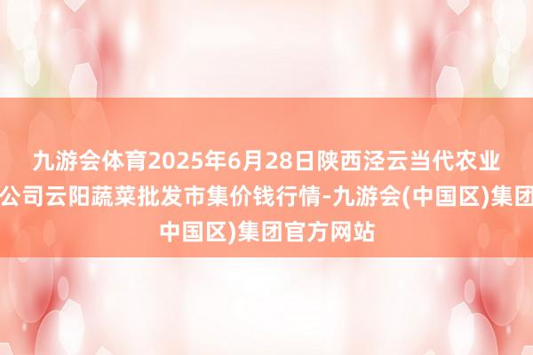 九游会体育2025年6月28日陕西泾云当代农业股份有限公司云阳蔬菜批发市集价钱行情-九游会(中国区)集团官方网站