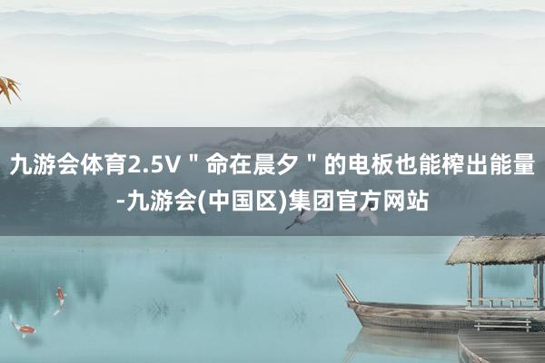 九游会体育2.5V＂命在晨夕＂的电板也能榨出能量-九游会(中国区)集团官方网站