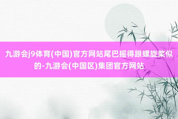 九游会j9体育(中国)官方网站尾巴摇得跟螺旋桨似的-九游会(中国区)集团官方网站