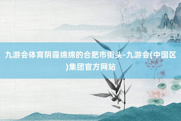 九游会体育阴霾绵绵的合肥市街头-九游会(中国区)集团官方网站