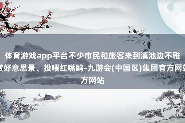体育游戏app平台不少市民和旅客来到滇池边不雅赏好意思景、投喂红嘴鸥-九游会(中国区)集团官方网站